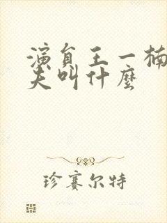 演员王一楠的丈夫叫什么