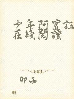 少年阿宾钰慧篇在线阅读