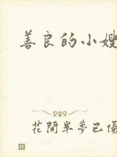 善良的小嫂子4封面