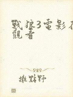 战狼3电影在线观看