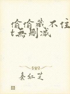 偷偷藏不住txt无删减封面