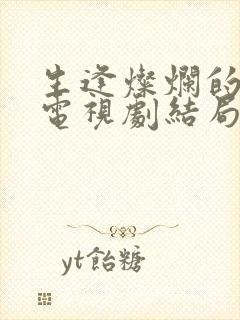 生逢灿烂的日子电视剧结局封面