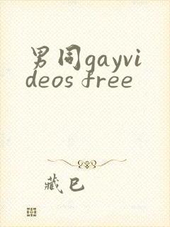 男同gayvideos free