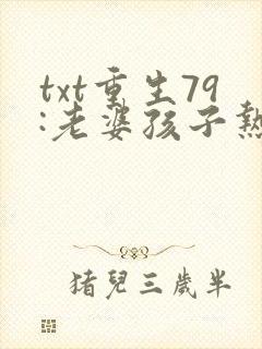 txt重生79:老婆孩子热炕头