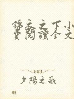 锦衣之下小说免费阅读全文无删减封面