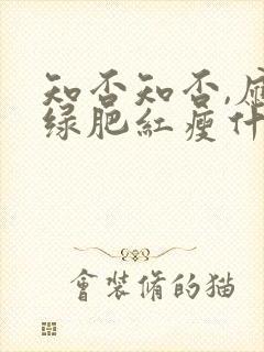 知否知否,应是绿肥红瘦什么意思封面