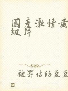 国产激情黄色一级片