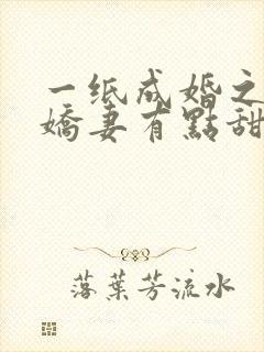 一纸成婚之重生娇妻有点甜封面