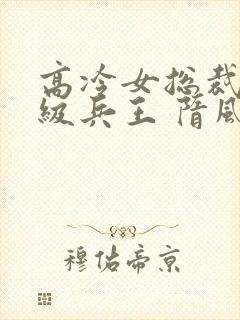 高冷女总裁的超级兵王 隋风天下