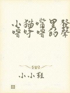 小猫嘴里发出呼噜呼噜的声音