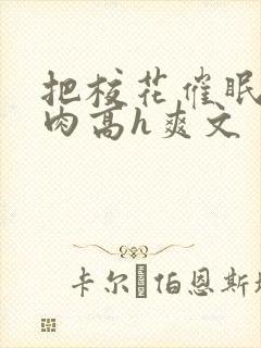 把校花催眠了纯肉高h爽文