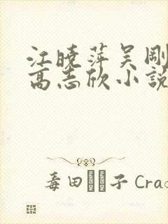 江晓萍吴刚吴亮高志欣小说免费阅读封面