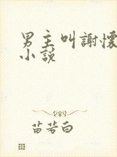 男主叫谢怀瑾的小说