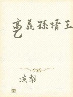 高义孙倩王申王乙封面