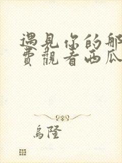 遇见你的那天免费观看西瓜影院