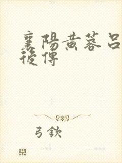 襄阳黄蓉吕文德后传封面