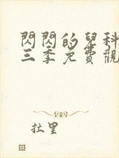 闪闪的儿科医生三季免费观看