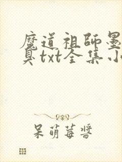 魔道祖师墨香铜臭txt全集小说封面