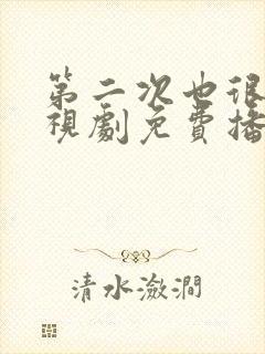 第二次也很美电视剧免费播放