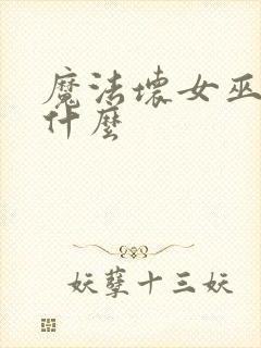 魔法坏女巫讲的什么