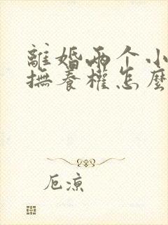 离婚两个小孩的抚养权怎么判