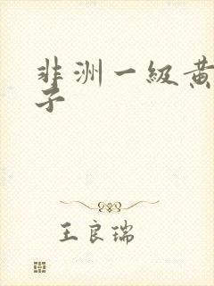 非洲一级黄色片子