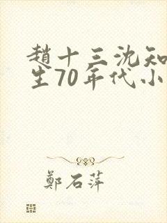 赵十三沈知霜重生70年代小说