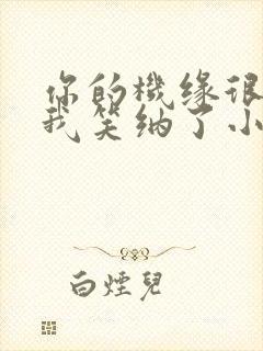 你的机缘很好,我笑纳了小说完整免费