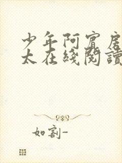 少年阿宾房东太太在线阅读