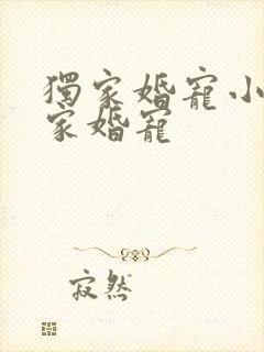 独家婚宠小说独家婚宠