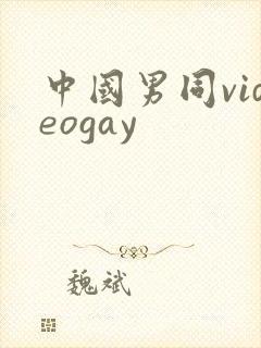 中国男同videogay