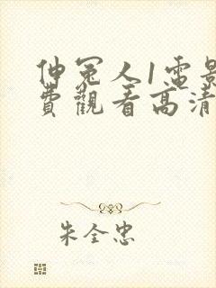 伸冤人1电影免费观看高清版