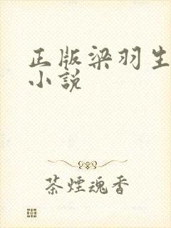 正版梁羽生武侠小说