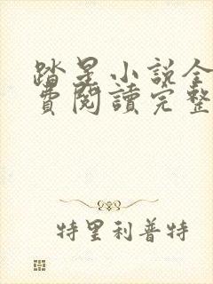 踏星小说全文免费阅读完整版无弹窗