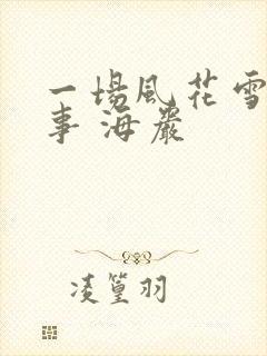 一场风花雪月的事 海岩