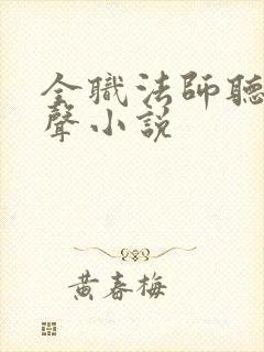 全职法师听书有声小说封面