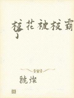 校花被校霸欺负了