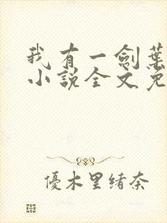 我有一剑叶观 小说全文免费阅读