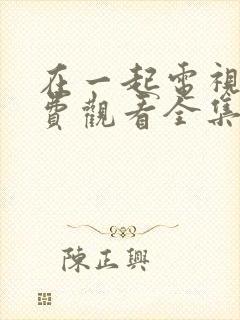 在一起电视剧免费观看全集封面