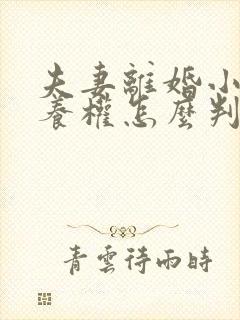 夫妻离婚小孩抚养权怎么判