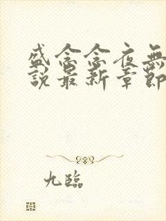 盛念念夜无渊小说最新章节更新