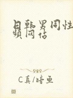 日韩男同性恋视频网站