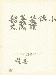 韶华若锦小说全文阅读