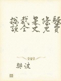 总裁是条骚狗小说全文免费阅读