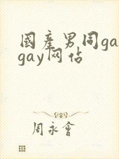 国产男同gaygay网站
