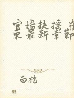 官场扶摇 崔向东最新章节封面