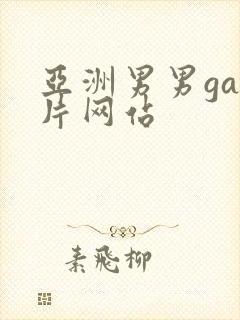 亚洲男男gay片网站
