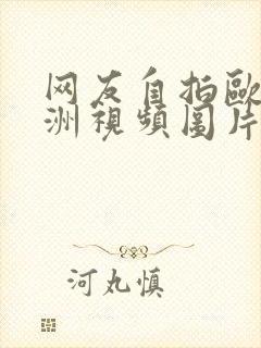 网友自拍欧美亚洲视频图片小说