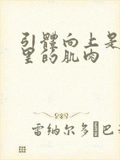 引体向上是练哪里的肌肉