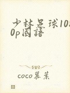 少林足球1080p国语